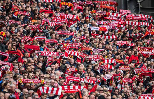 500余名少年同台竞技！东莞青少年跆拳道U系列赛收官